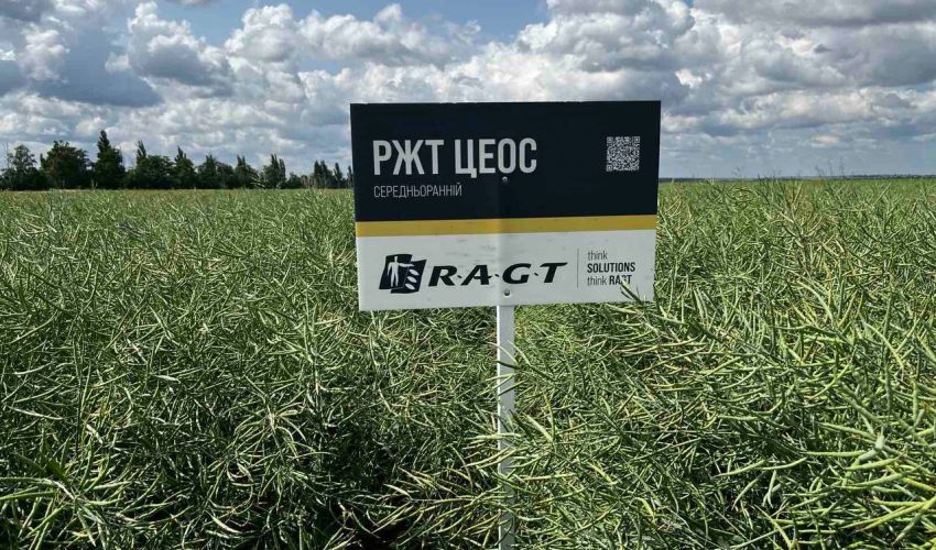 photo_2025-06-17_11-54-55 (2)