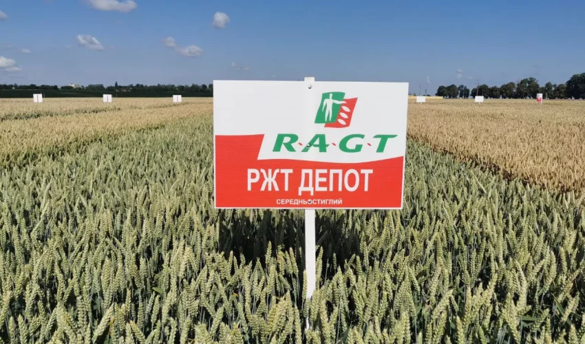 Депот