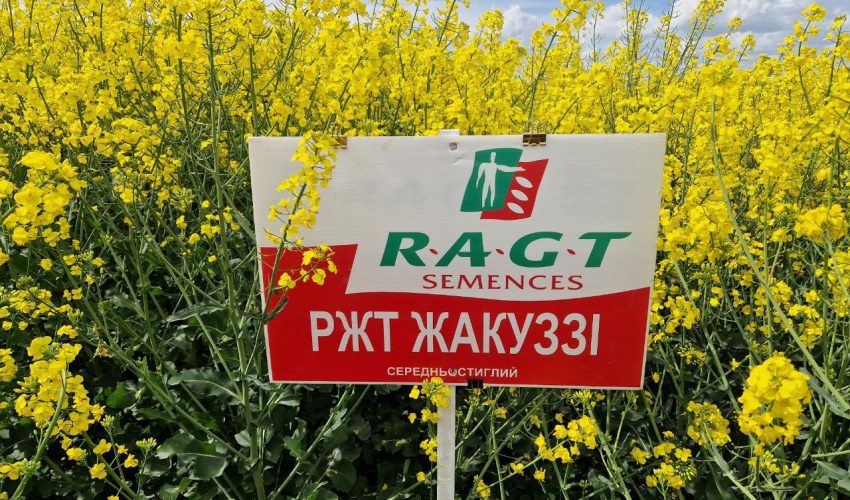 Жакуззі2