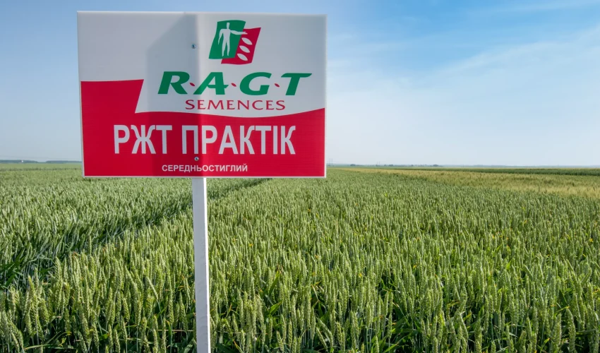 Практік