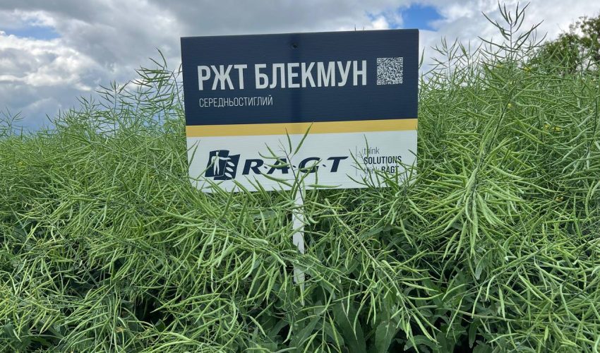 РЖТ Блекмун