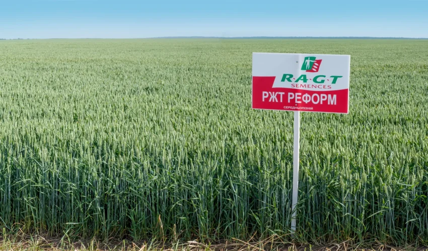 Реформ