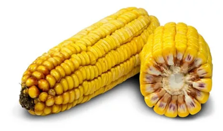 дубліккс