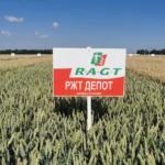 РЖТ ДЕПОТ