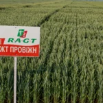 РЖТ ПРОВІЖН